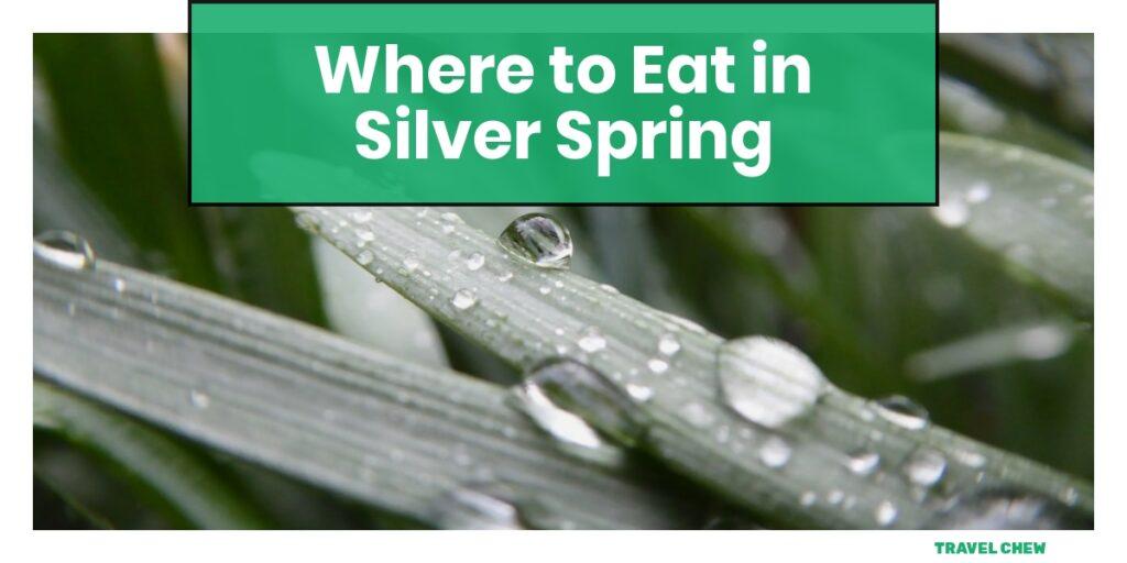 where to eat in Silver Spring Maryland