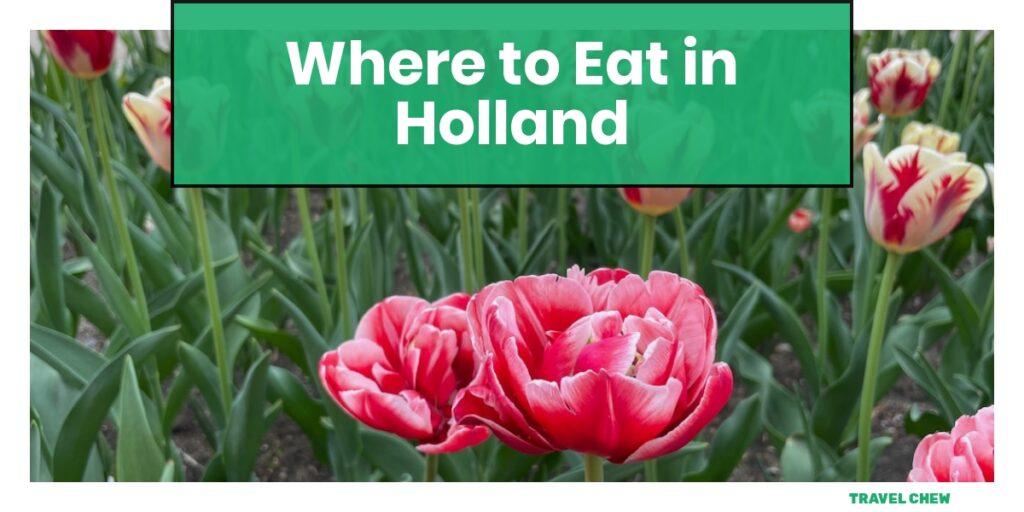 where to eat in Holland Michigan