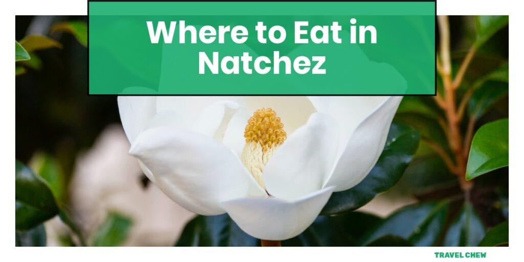 where to eat in Natchez Mississippi